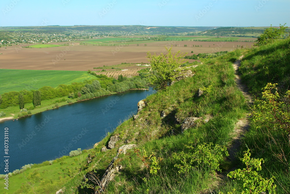 A river running through a grassy area A river running through a grassy area