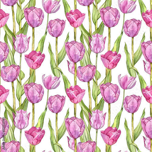 watercolor illustrations of pink tulips against a white background  seamless watercolor art  pattern