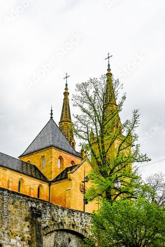 Neuchâtel, Neuenburg, Stiftskirche, Kirche, Kollegiatskirche, Schloss, Schlosshügel, Festung, Stadtmauer, Altstadt, Altstadthäuser, Frühling, Sommer, Schweiz