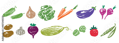 Vegetables, vitamins, set, ripe, raw, agriculture, textured hand drawn vector illustration isolated  on white
