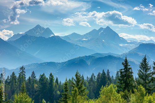 A panoramic view of a mountain range with tall trees in the foreground, showcasing the natural beauty of the landscape