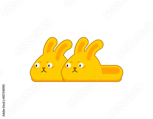 House rabbit slippers isolated. House shoes rabbits. Vector illustration