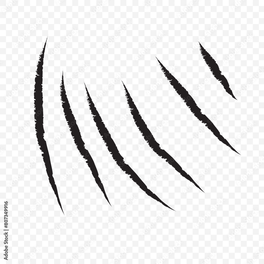 animal Claw scratches mark set. Cat tiger scratches signs animal Claw scratches mark set. Cat tiger scratches signs