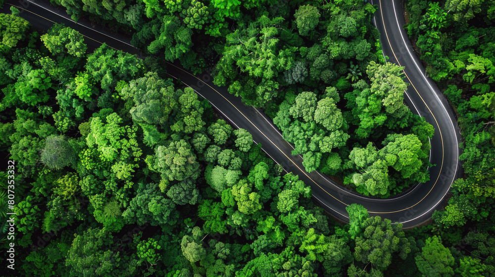 Aerial top view winding road curve road on green forest in on beautiful day