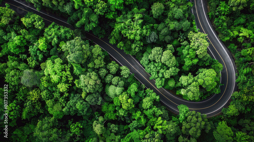 Aerial top view winding road curve road on green forest in on beautiful day © FutureStock