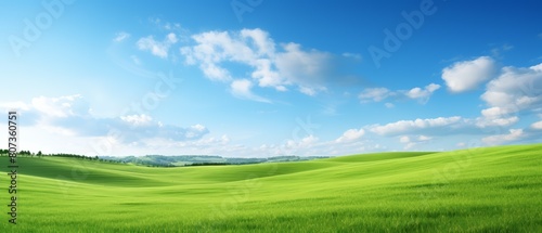 Vast green grassland under clear skies, wallpaper, natural light