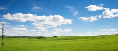 Vast green grassland under clear skies, wallpaper, natural light