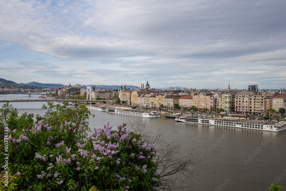 Fototapeta premium Danube river crossing Budapest city and the Szechenyi Chain Bridge famous landmark in Hungary
