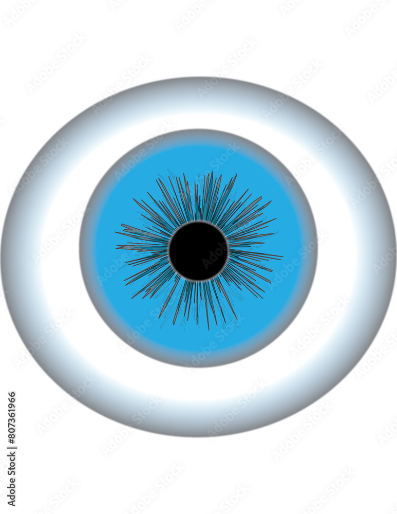 eye with reflection eye with reflection
