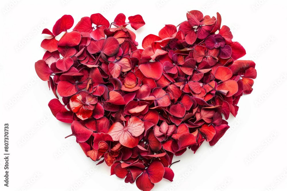 Heart made of red rose petals, isolated on white background Heart made of red rose petals, isolated on white background