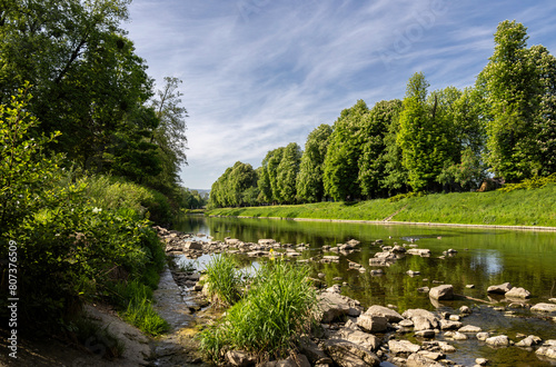 Olza River among greenery on a spring day photo