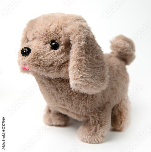 A stuffed dog toy. Cute toy puppy shot on a gray background