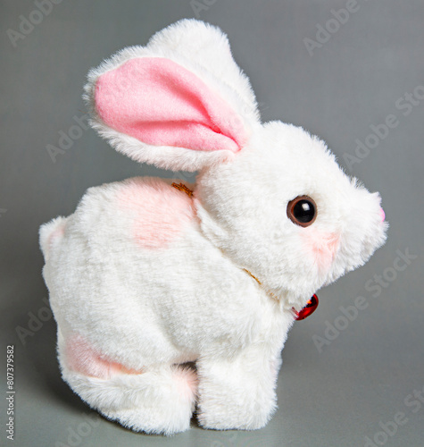 Cute bunny and single easter egg. Concept and idea of happy easter day.