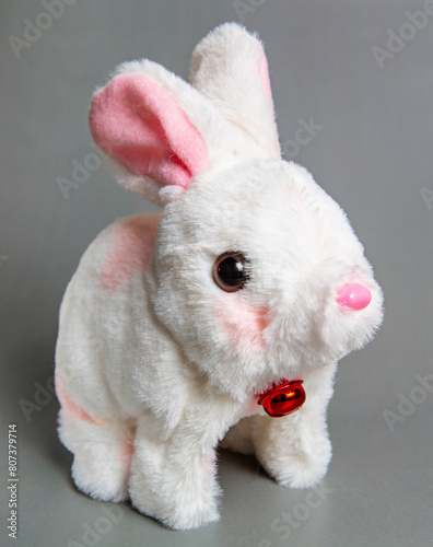 Cute bunny and single easter egg. Concept and idea of happy easter day.