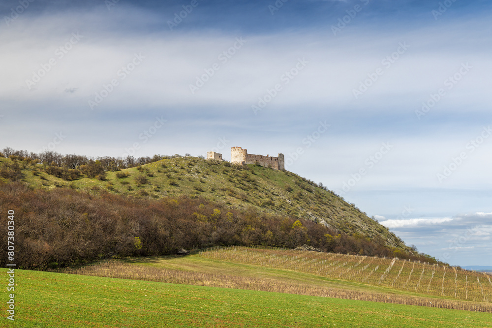 The ruins of Devicky castle on the Pavlov Hills above the vineyard in South Moravia, Czech Republic, Europe.