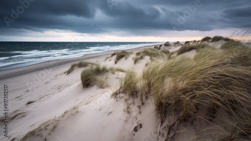 Beach with coastal dunes covered with green grass.AI generated image