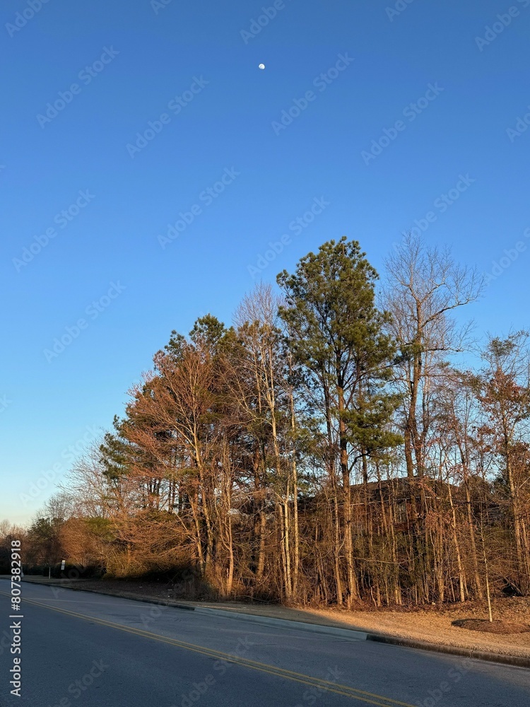 vista de casa entre los arboles por carretera de pueblo vista de casa entre los arboles por carretera de pueblo