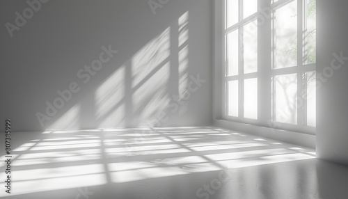Minimalist modern room with sunlight through window