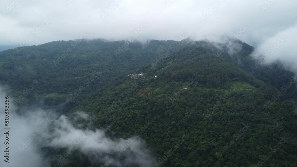 An aerial view of a lush green forest covered in mist, showcasing nature’s serene beauty. The various shades of green indicate different types of trees or stages of growth.