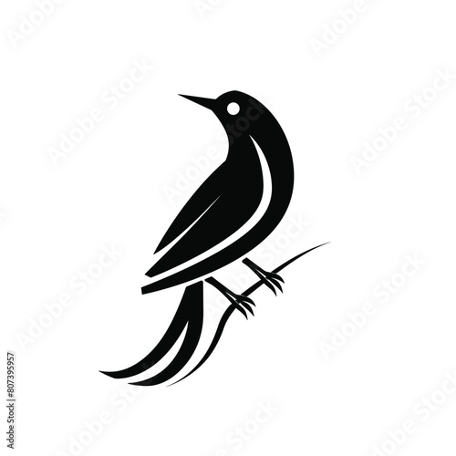 Minimalistic black and white bird illustration sitting on a branch. photo