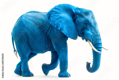 A blue elephant walking on a white background photo