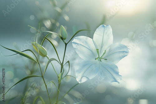 Lily of the valley in the wind
