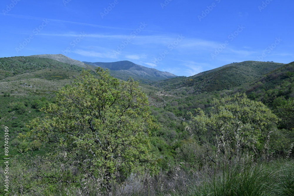 The Italian landscape of the province of Caserta. The Italian landscape of the province of Caserta.