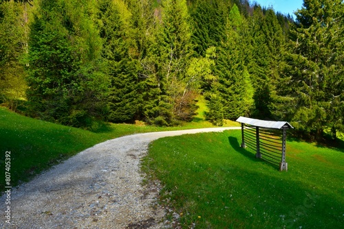 Hayrack on a meadow next to a gravel road in Karavanke in Gorenjska, Slovenia photo