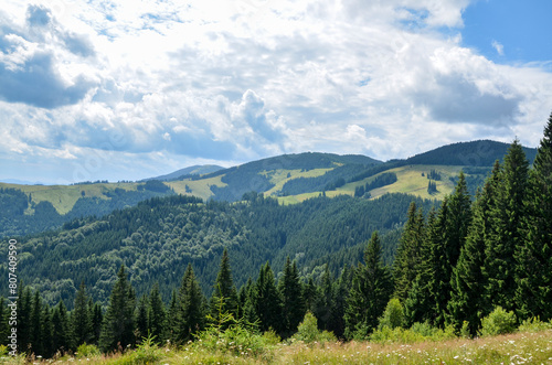 Picturesque landscape featuring lush green rolling hills covered in dense forests, displaying various shades of green under blue sky with clouds. Carpathian Mountains, Ukraine 