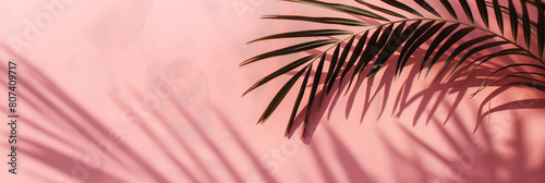 Folhas verdes no fundo rosa - wallpaper HD photo