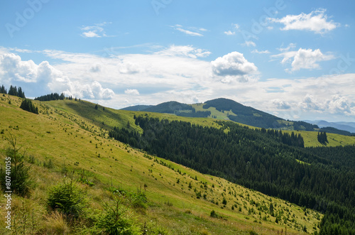 Lush green mountain landscape with undulating rolling hills and mountains covered in vibrant greenery and green forests at summer day. Carpathians, Ukraine 