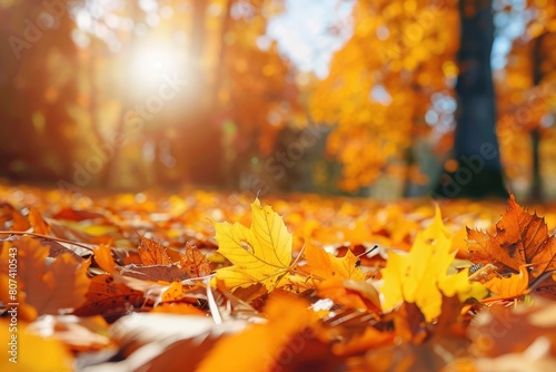 orange fall leaves in park, sunny autumn natural background - generative ai