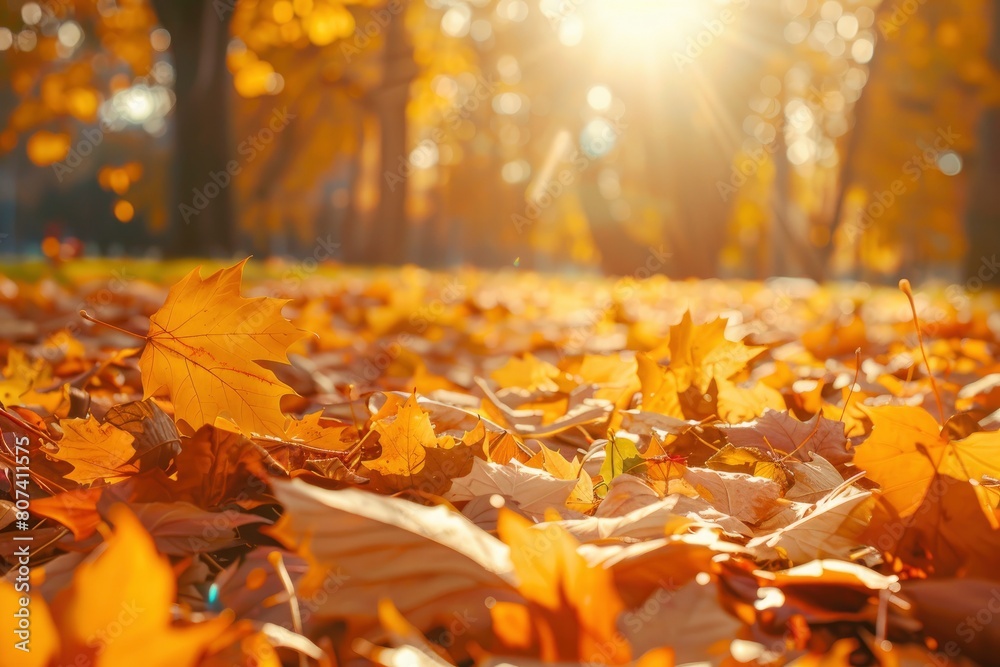 orange fall leaves in park, sunny autumn natural background - generative ai