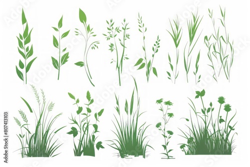 A collection of green plants and grasses