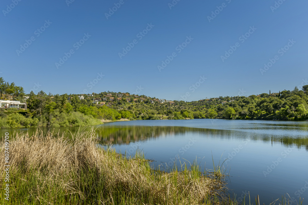 Views of a beautiful lake and houses half hidden among the trees on a clear sky day