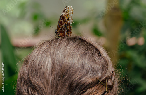 Butterfly sitting on woman's head 