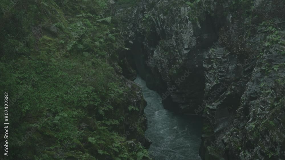 240422_miyazaki_3205 240422_miyazaki_3205
