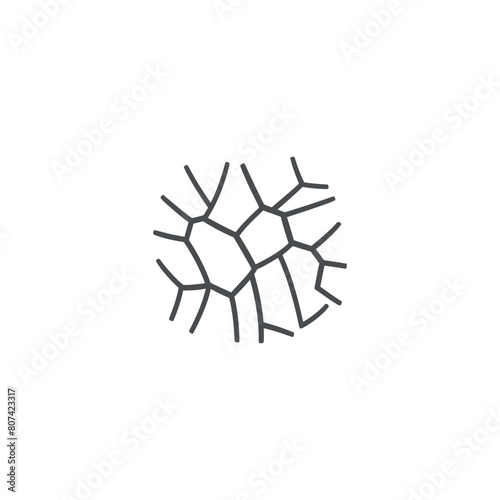 Dry skin vector icon on white background