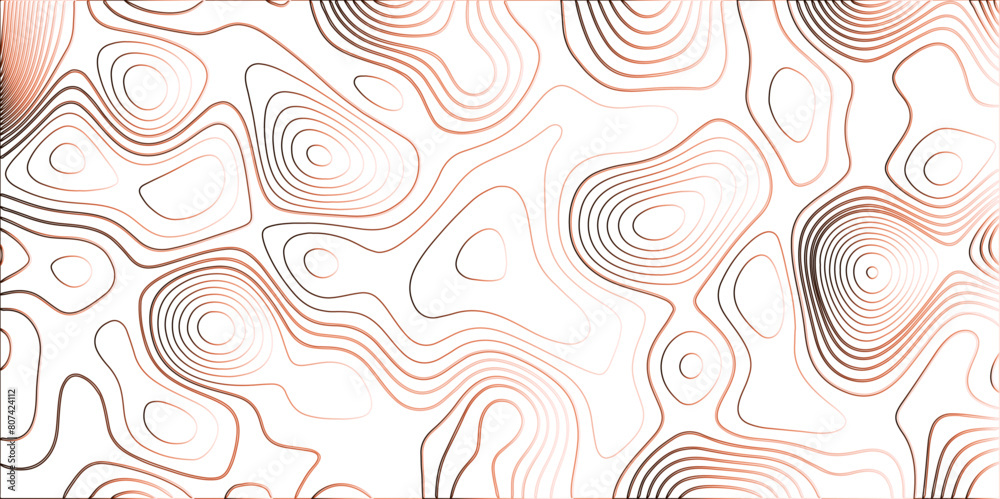 Topographic map patterns, topography line map. abstract pattern with swirls.abstract White wave paper curved reliefs background. Abstract wavy topographic map.
