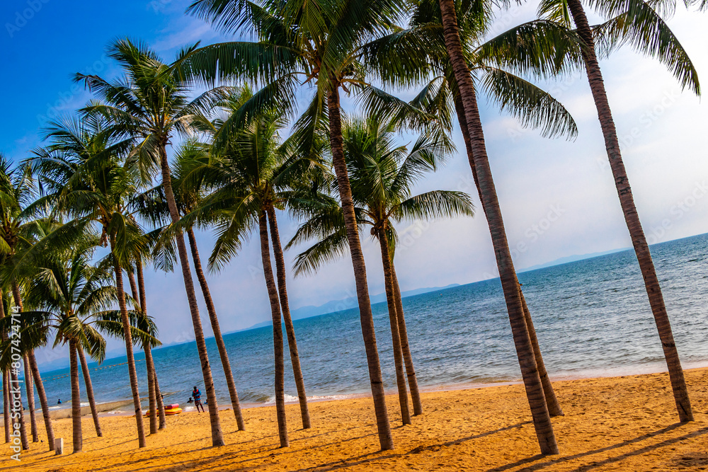 Tropical beach waves sand people boat palm trees Pattaya Thailand. Tropical beach waves sand people boat palm trees Pattaya Thailand.