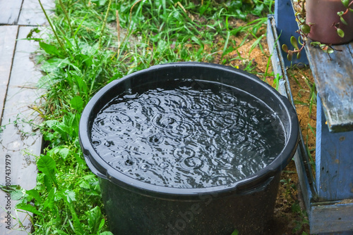 A black barrel for collecting rainwater. Collecting rainwater in plastic container. Collecting rainwater for watering the garden. Ecological collection of water for crop irrigation.