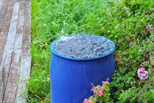 Billede på lærred A blue barrel for collecting rainwater