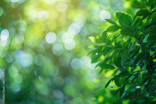 Green texture background  Photos blurred and bokeh under the tree  Fresh nature healthy or bio concept - generative ai