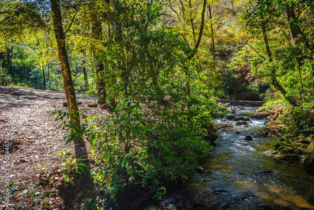 River in avandaro forest in the Bridal Veil waterfall park in Valle de Bravo state of Mexico