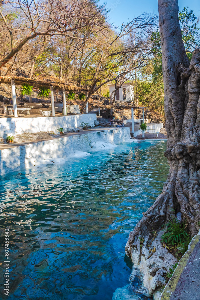 Natural pool with crystal clear turquoise blue waters, with ahuehuete trees around in palmillas, Guerrero