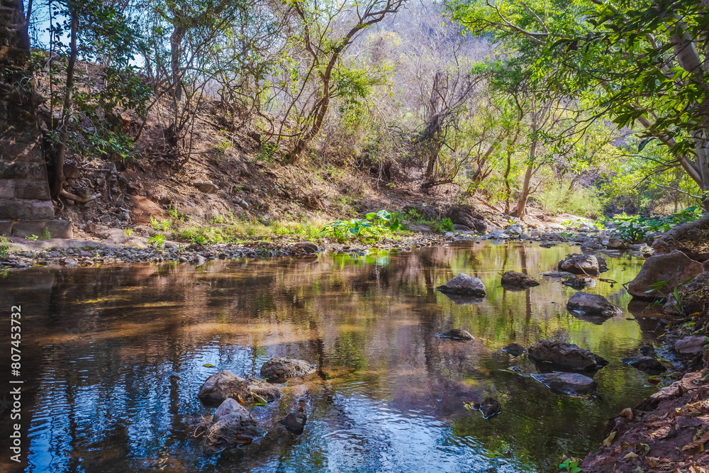 River with crystal clear waters under a bridge in palmillas Guerrero