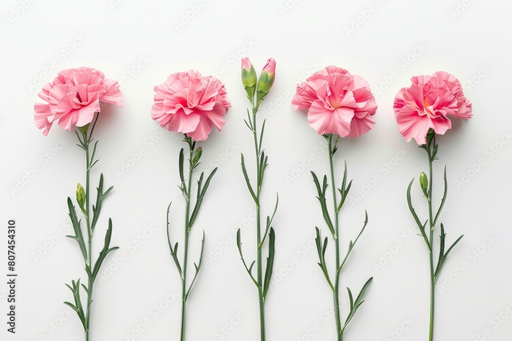 Mother's Day, Carnations, Happy Mother's Day,