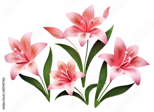 PNG Lillys flower petal plant. © Rawpixel.com