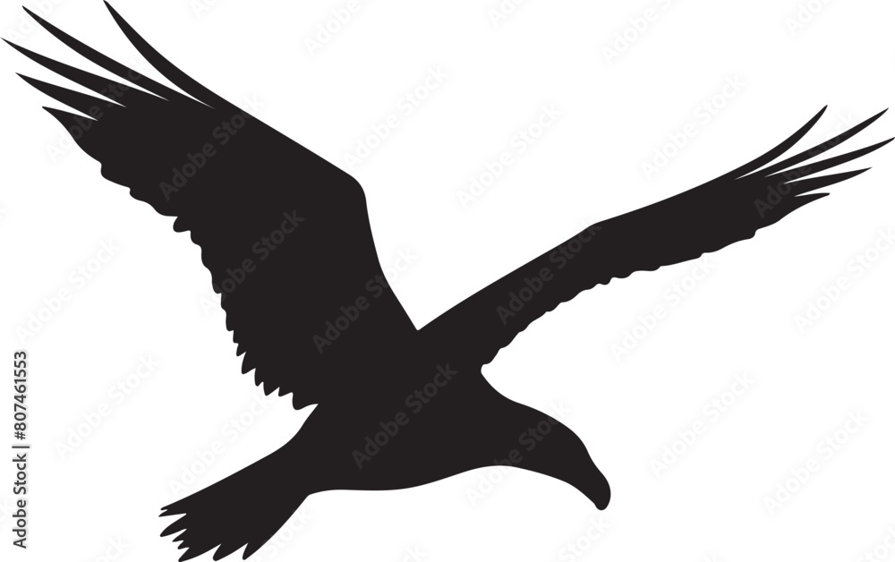 Albatross Silhouette Vector Illustration White Background Albatross Silhouette Vector Illustration White Background