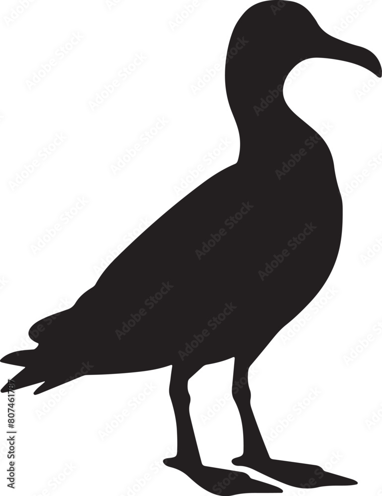 Albatross Silhouette Vector Illustration White Background Albatross Silhouette Vector Illustration White Background